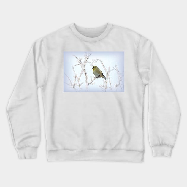 American Goldfinch Framed by the Limbs by Debra Martz Crewneck Sweatshirt by Debra Martz